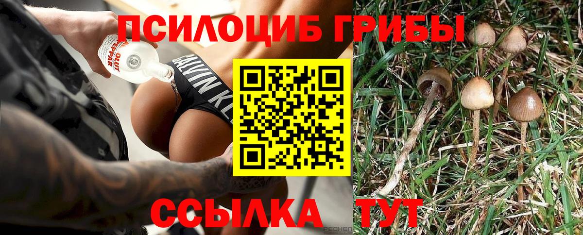 Звенигород  Галлюциногенные грибы мухоморы  Вход с VPN 