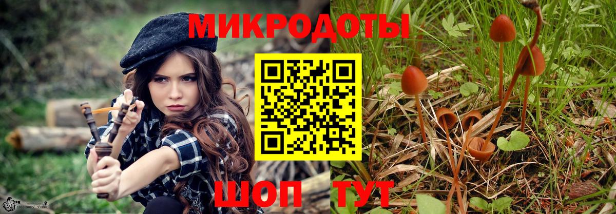 Псилоцибиновые грибы MAGIC MUSHROOMS Звенигород
